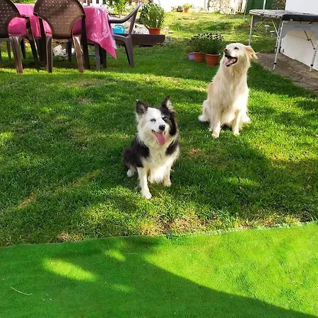 El Castillo Villafranca Del Bierzo